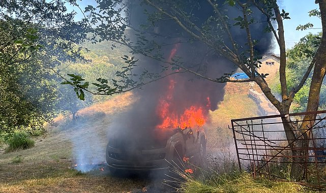 Kamyonet alev alev yandı