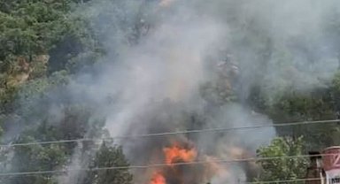 Kastamonu'da orman yangını