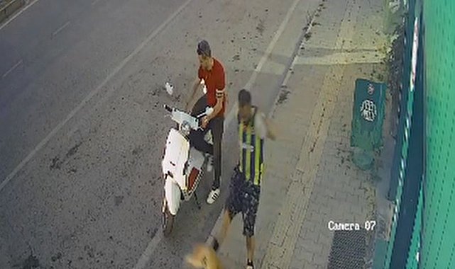 Kediye tekme atan şüpheli yakalandı