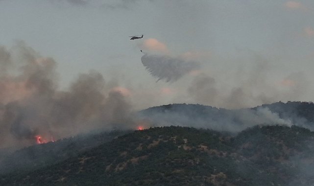 Malatya'da orman yangını