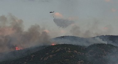 Malatya'da orman yangını