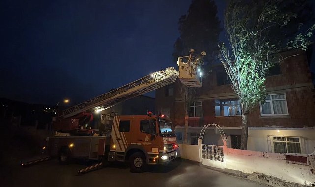 Maltepe'de fırtına nedeniyle dalları kırılan ağaç 2 katlı binaya yaslandı