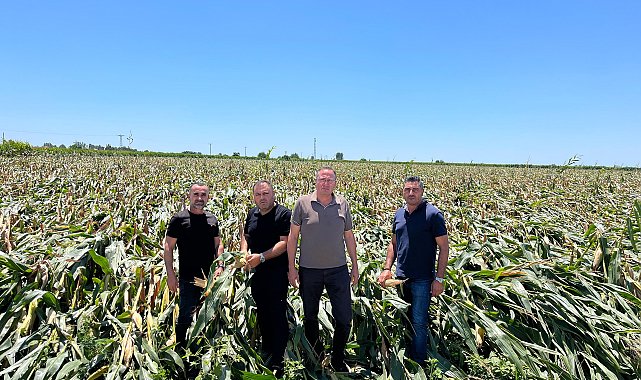 Mersin'de fırtınada 3 bin dönüm mısır zarar gördü