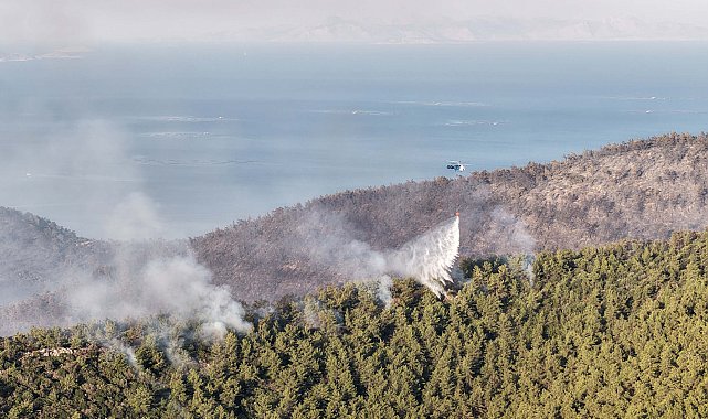 Milas'taki orman yangını 2'nci gününde