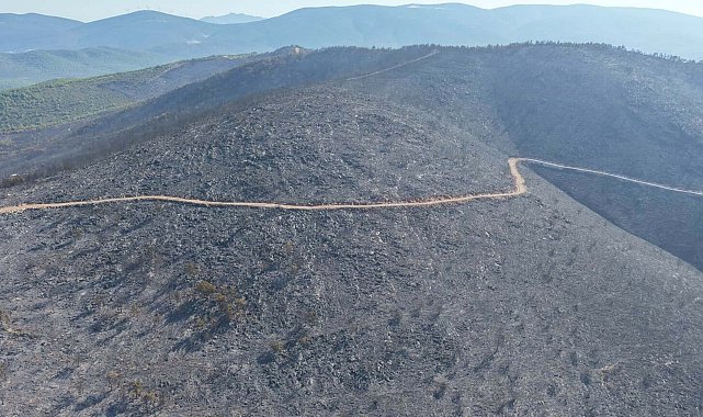 Milas'taki orman yangını 2'nci gününde