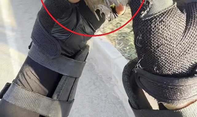 Motokurye, ağzındaki buğday tanesini çıkardığı serçeyi kurtardı