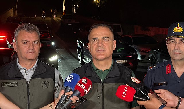 Muğla'da orman yangını