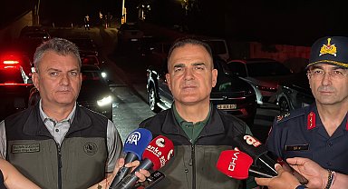 Muğla'da orman yangını