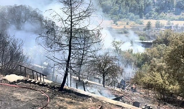 Muğla'da orman yangını