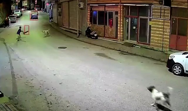 Ordu'da skuterlı çocuk köpeklerin saldırısına uğradı; o anlar kamerada