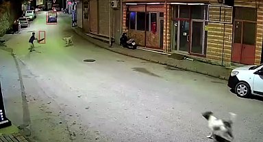 Ordu'da skuterlı çocuk köpeklerin saldırısına uğradı; o anlar kamerada
