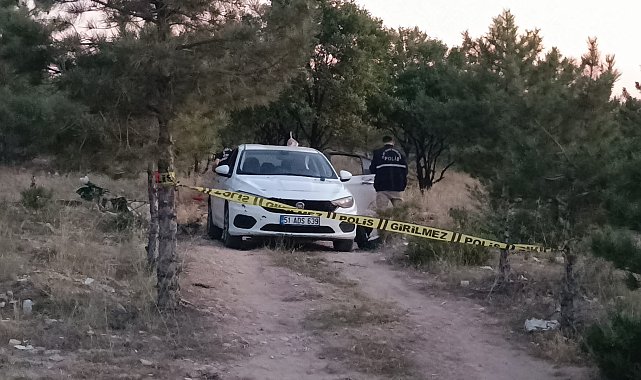 Ormanda iki grup arasında silahlı kavgada: 1 yaralı