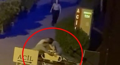 Otomobilin çarptığı yayanın duran kalbi, kalp masajıyla yeniden çalıştırıldı