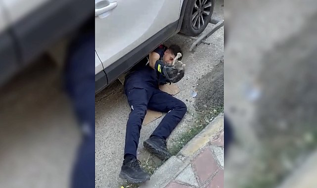 Otomobilin motor kısmına giren yavru kediyi itfaiye kurtardı