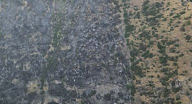 Pamukkale'de orman yangını kontrol altına alındı