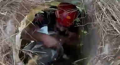 Rögara düşen keçiyi itfaiye ekipleri kurtardı