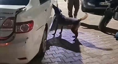 Sakarya'da uyuşturucu operasyonu: 2 tutuklama