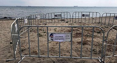 Şarköy sahilinde tespit edilen kum zambakları korumaya alındı