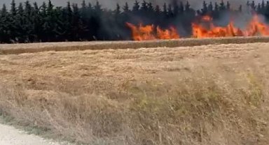 Silivri'de elektrik direği kesimi sırasında çıkan yangın söndürüldü