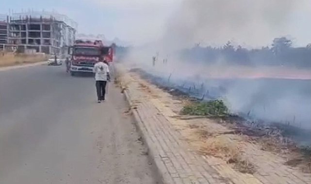 Silivri'de otluk alanda çıkan yangın evlere sıçramadan söndürüldü