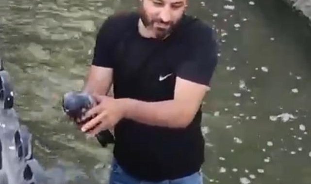 Su kanalına düşen güvercini kurtarıp, 'Boncuk' ismini verdi
