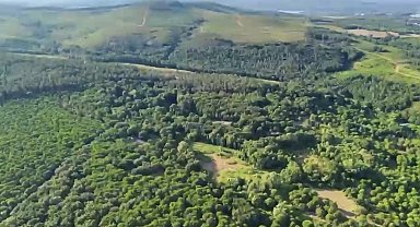 Sultanbeyli'de dron destekli orman denetimi; 513 kişiye 1,9 milyon lira ceza