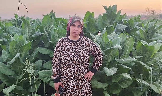 Tarlada beyin kanaması geçiren 3 çocuk annesi yaşamını yitirdi