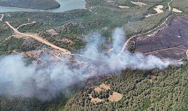 Tekirdağ'da anız yangınında alevler, ormana sıçradı
