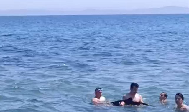 Tekirdağ'da yavru yunus yüzenlerin yanına geldi