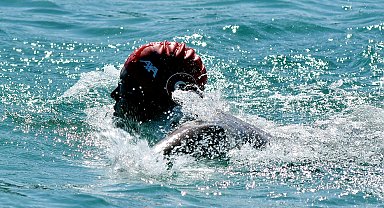 Tuna Tunca yarın Kuzey Kanalı'nda yüzecek