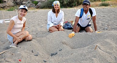 Yerleşik yabancılar deniz kaplumbağalarının gönüllü koruyucusu oldu
