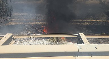 Yol kenarındaki ağaçlık alanda çıkan yangın kontrol altına alındı