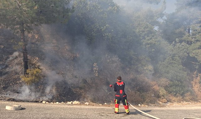 Zeytin bahçesinde çıkan yangın söndürüldü
