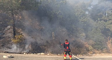 Zeytin bahçesinde çıkan yangın söndürüldü